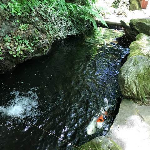 f:id:kenboo7:20180613191419j:plain