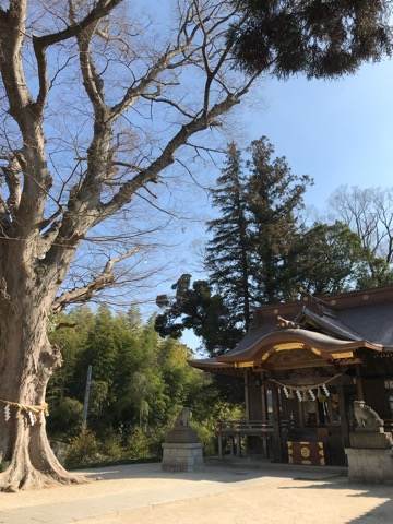 f:id:kenboo7:20180616211550j:plain