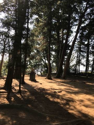 f:id:kenboo7:20180616211557j:plain