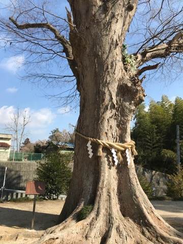 f:id:kenboo7:20180616211653j:plain