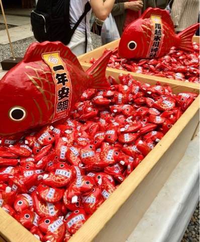 川越氷川神社のおみくじ