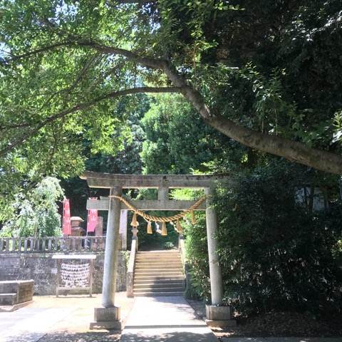 行田市・前玉神社の鳥居