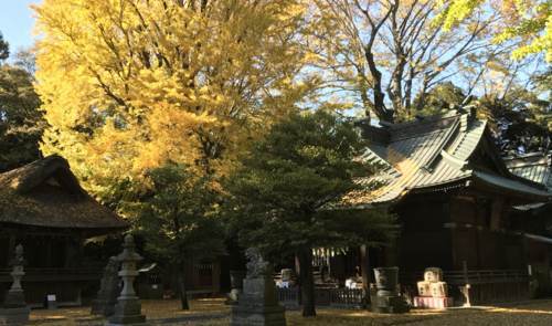 埼玉県加須市・玉敷神社