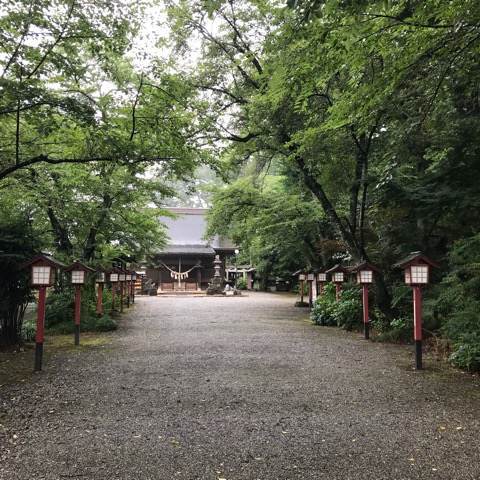 鷲宮神社の参道