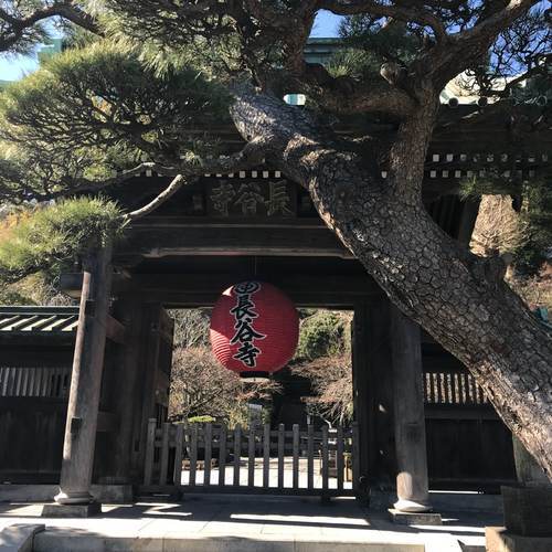 f:id:kenboo7:20190114123856j:plain f:id:kenboo7:20190114123856j:plain