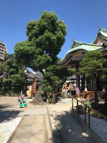 高木神社・御朱印