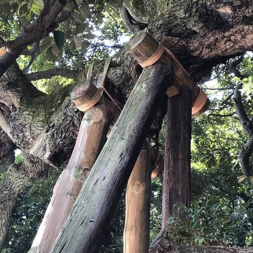 九重神社