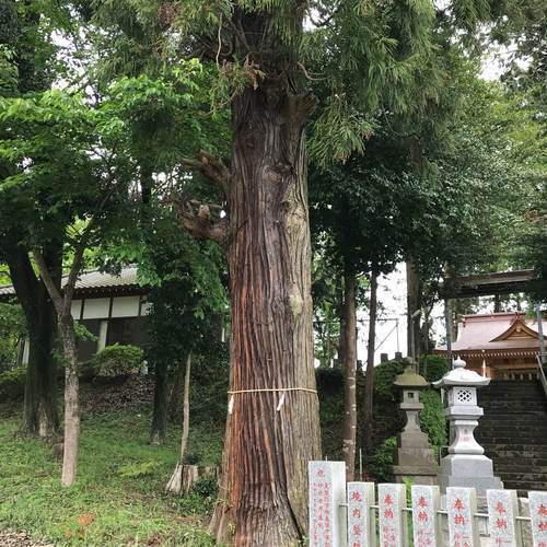 糀谷八幡神社