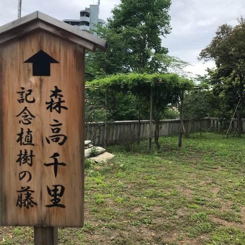 足利八雲神社 足利八雲神社