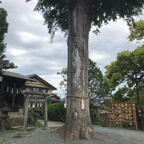 足利八雲神社 足利八雲神社