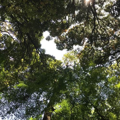 北茨城・浄蓮寺f:in 北茨城・浄蓮寺