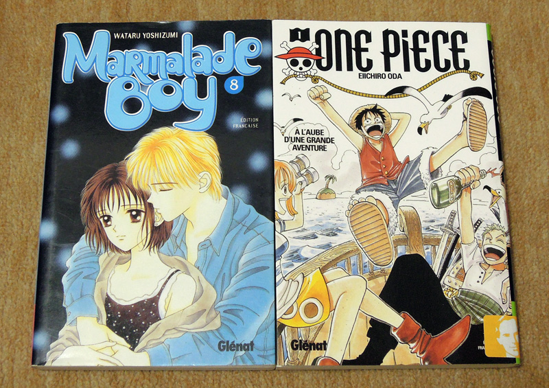 迷ったら パリ旅行のお土産に フランス語の漫画を買おう さあ Anaマイルでパリにいってみようよ