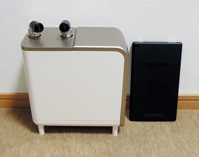 f:id:kenbou89:20190226224858j:plain