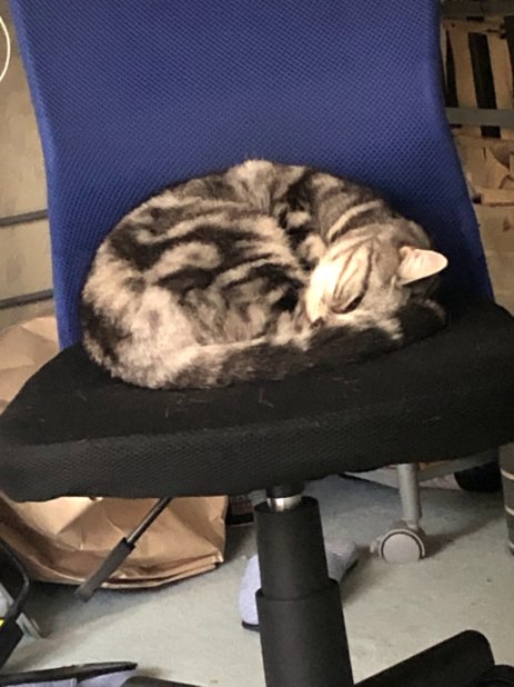 f:id:kenboucat:20200410182910j:plain