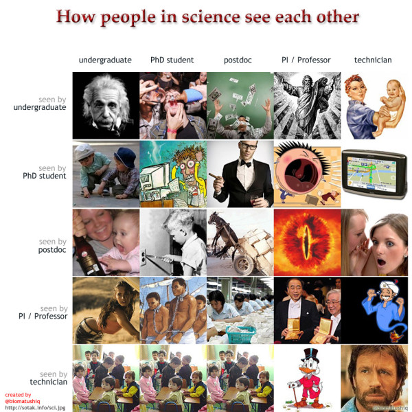 how people in science see each other 見聞読考録