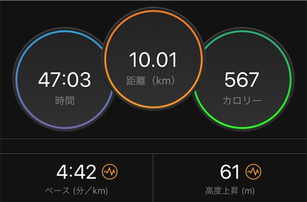 f:id:kenchan-run:20190128233728j:image
