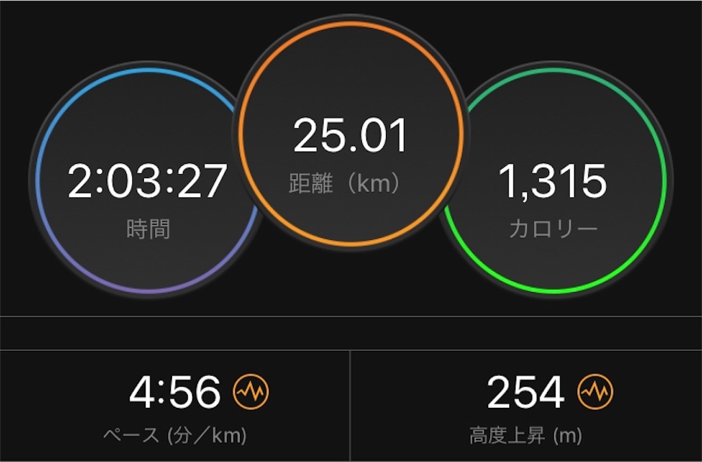 f:id:kenchan-run:20190324162831j:image f:id:kenchan-run:20190324162831j:image