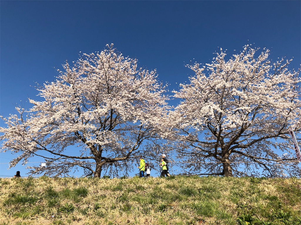 f:id:kenchan-run:20190414113006j:image