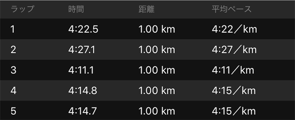 f:id:kenchan-run:20190414165102j:image f:id:kenchan-run:20190414165102j:image