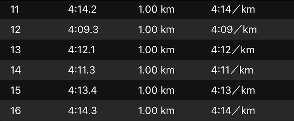 f:id:kenchan-run:20190414194651j:image f:id:kenchan-run:20190414194651j:image