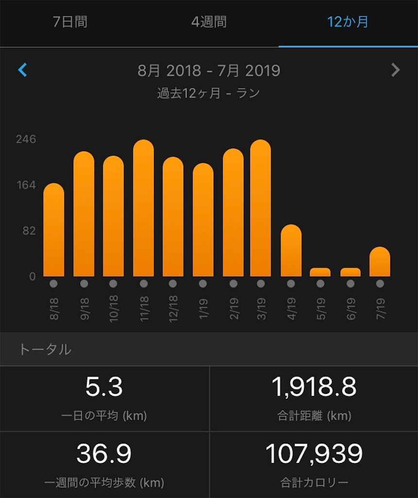 f:id:kenchan-run:20190714014423j:image f:id:kenchan-run:20190714014423j:image