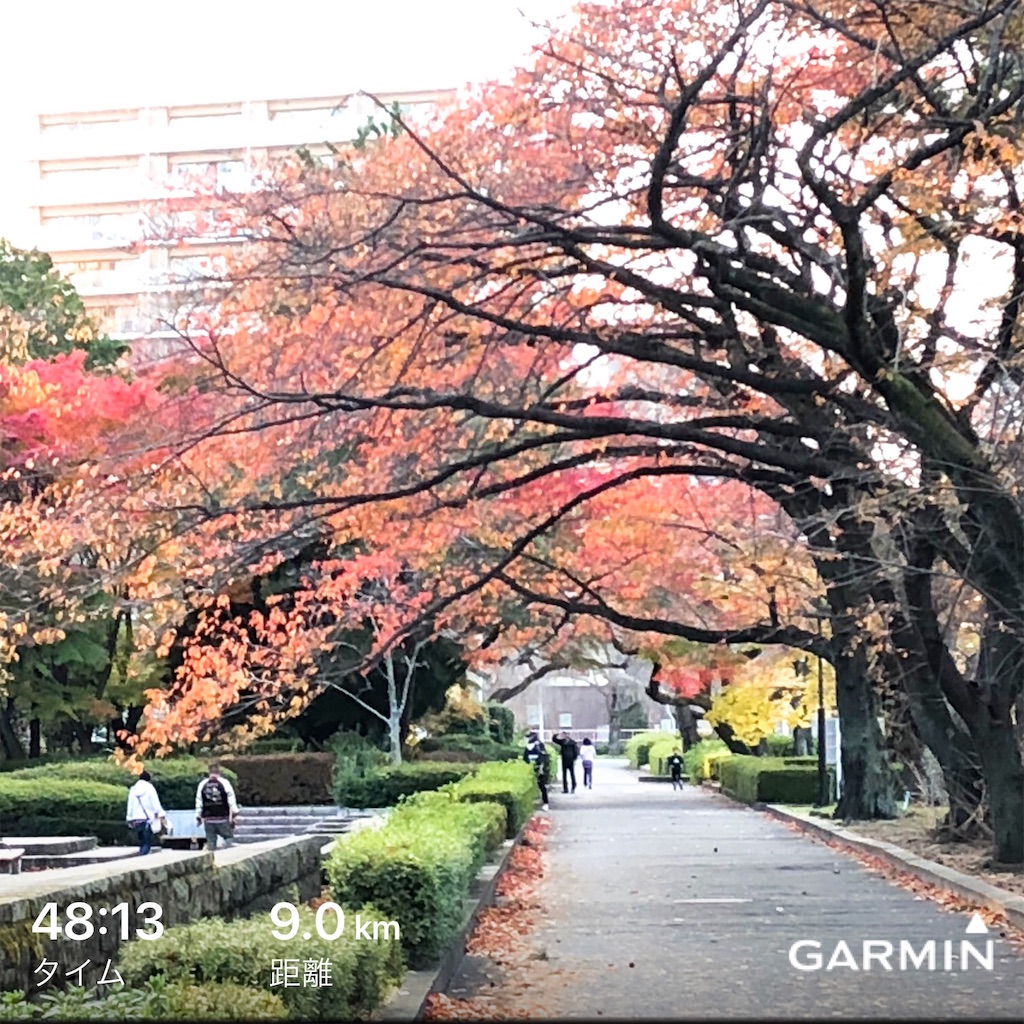 f:id:kenchan-run:20191117201838j:image f:id:kenchan-run:20191117201838j:image