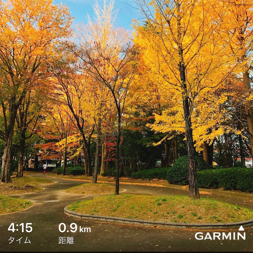 f:id:kenchan-run:20191117211948j:image f:id:kenchan-run:20191117211948j:image