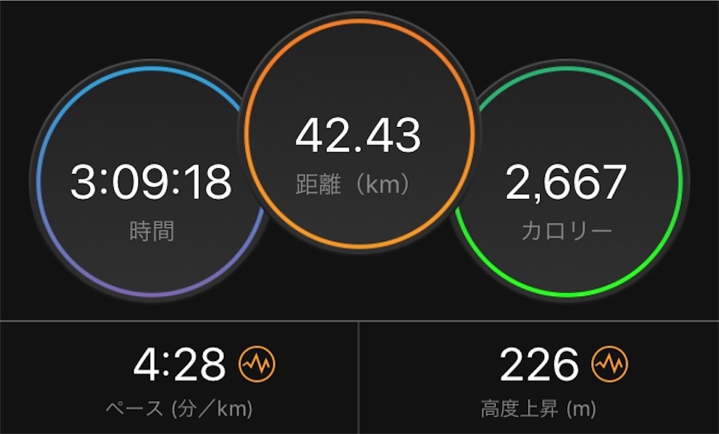 f:id:kenchan-run:20191128233531j:image f:id:kenchan-run:20191128233531j:image