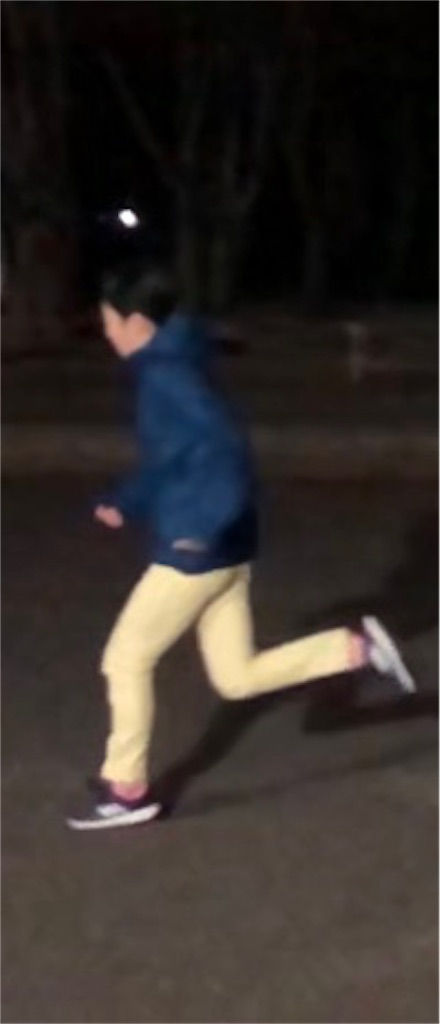 f:id:kenchan-run:20200328224807j:image f:id:kenchan-run:20200328224807j:image