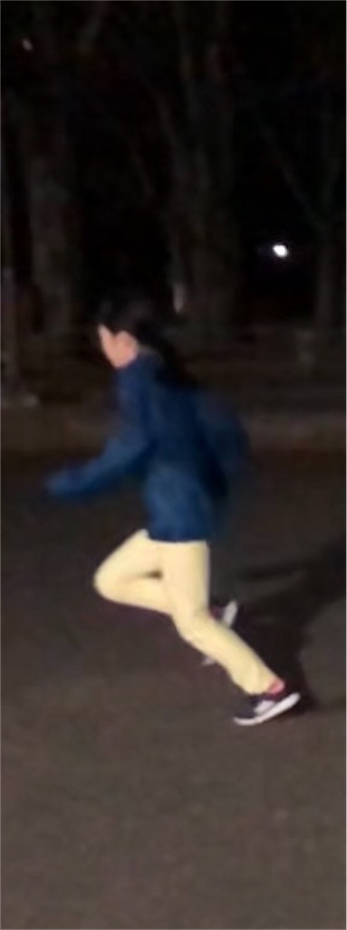 f:id:kenchan-run:20200328224835j:image f:id:kenchan-run:20200328224835j:image