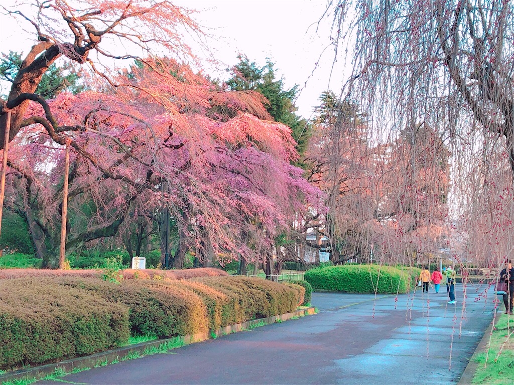 f:id:kenchan-run:20200329222359j:image f:id:kenchan-run:20200329222359j:image