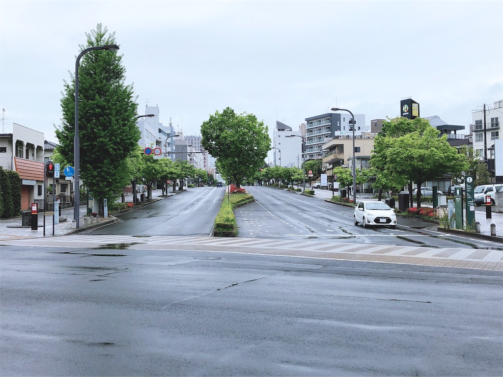f:id:kenchan-run:20200512234619j:image f:id:kenchan-run:20200512234619j:image