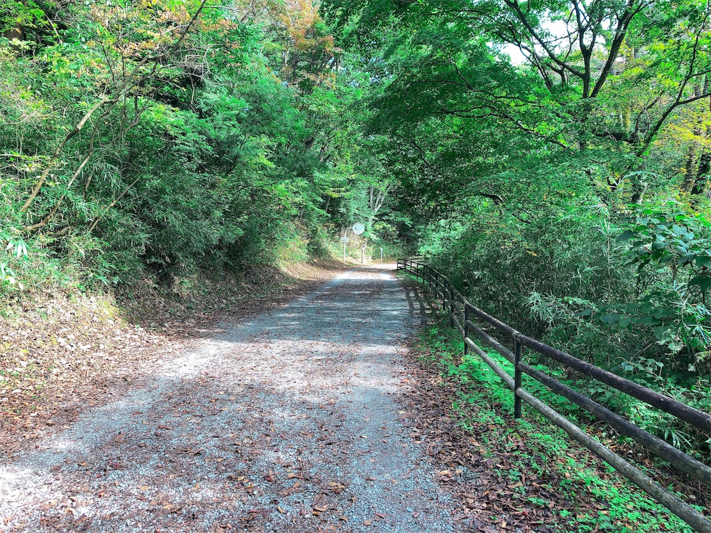 f:id:kenchan-run:20201018170455j:image f:id:kenchan-run:20201018170455j:image