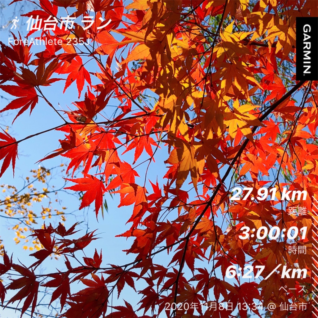 f:id:kenchan-run:20201108215654j:image