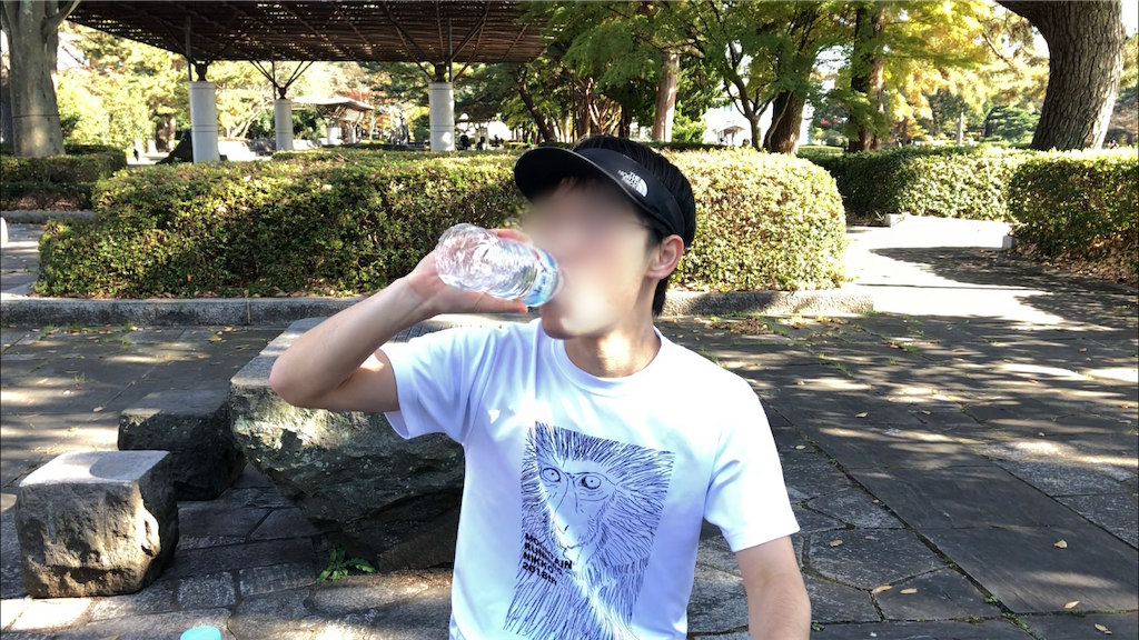 f:id:kenchan-run:20201114213455p:image f:id:kenchan-run:20201114213455p:image
