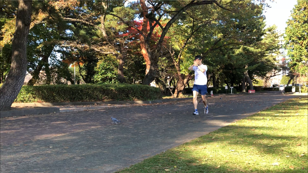 f:id:kenchan-run:20201114213522p:image f:id:kenchan-run:20201114213522p:image