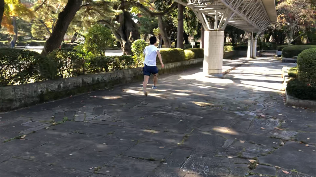 f:id:kenchan-run:20201114213719p:image f:id:kenchan-run:20201114213719p:image