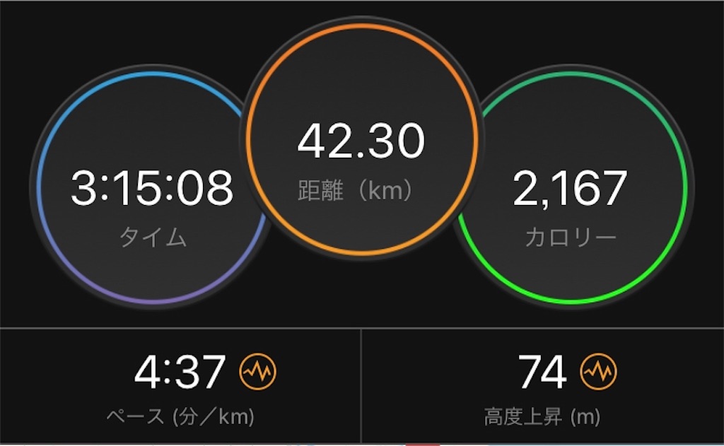 f:id:kenchan-run:20201206151256j:image