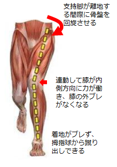 f:id:kenchan-run:20210111171340p:plain