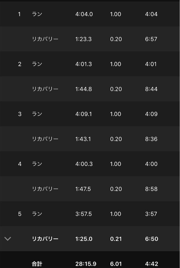 f:id:kenchan-run:20210330153725j:image f:id:kenchan-run:20210330153725j:image