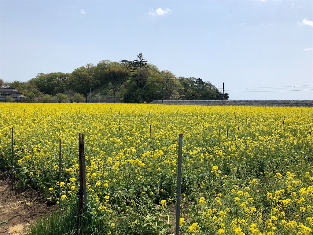 f:id:kenchan-run:20210505202522j:image f:id:kenchan-run:20210505202522j:image
