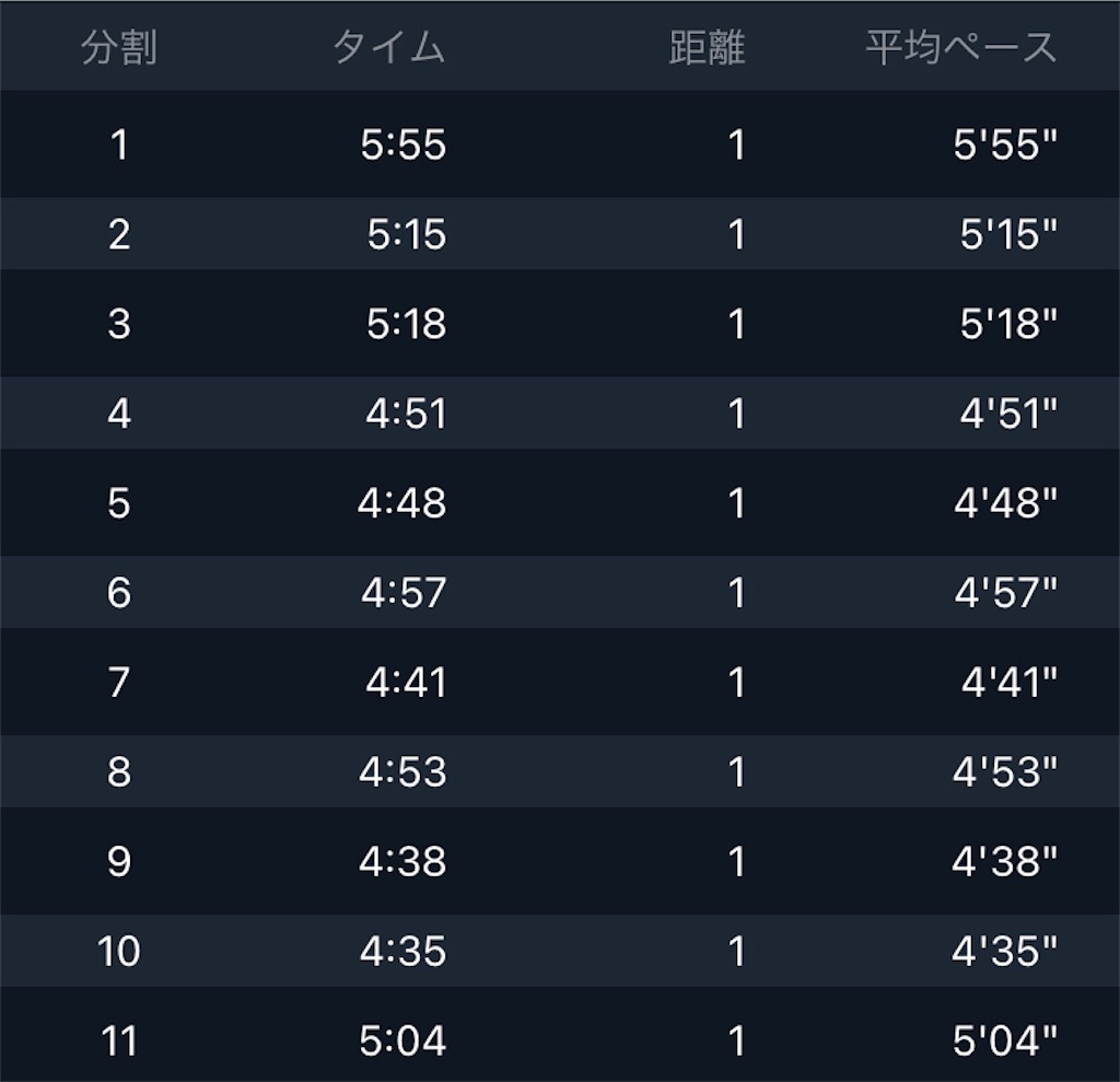 f:id:kenchan-run:20210530224832j:image f:id:kenchan-run:20210530224832j:image