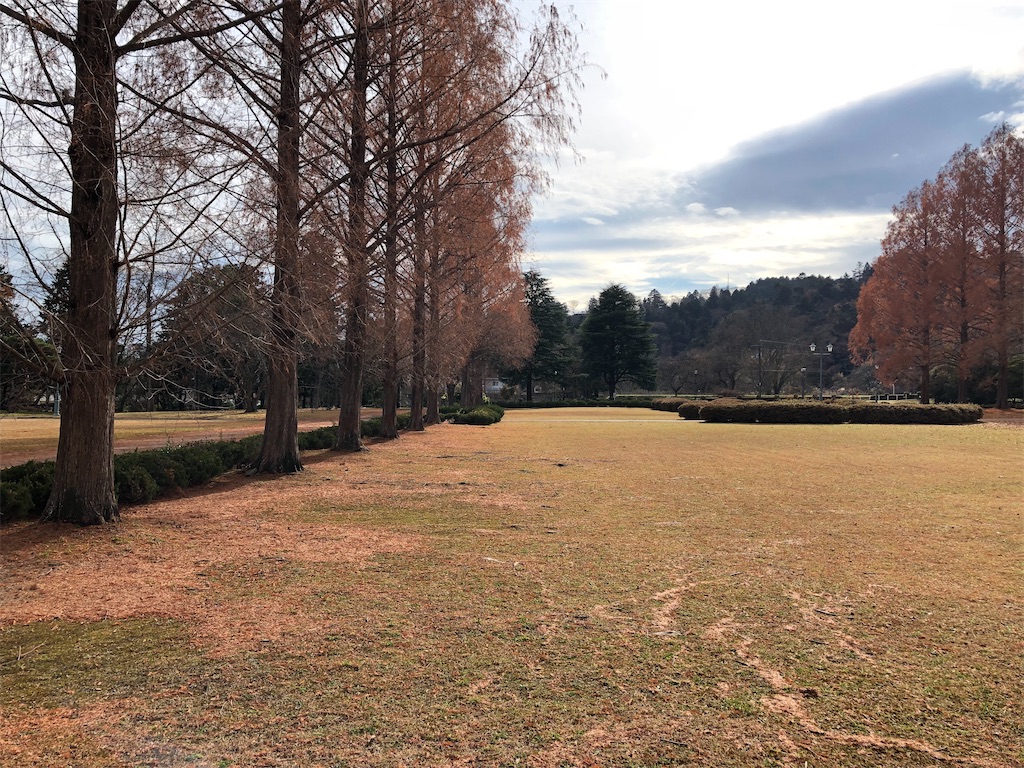 f:id:kenchan-run:20211212201045j:image f:id:kenchan-run:20211212201045j:image