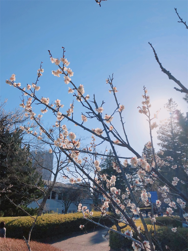 f:id:kenchan-run:20220402193825j:image f:id:kenchan-run:20220402193825j:image