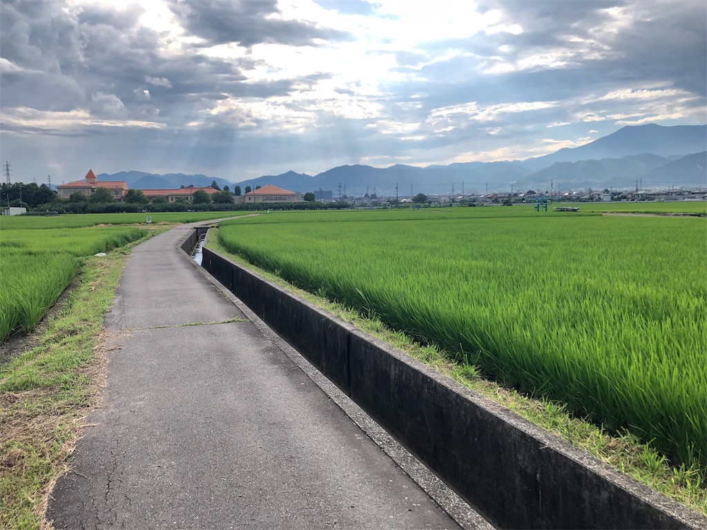 f:id:kenchan-run:20220806123430j:image f:id:kenchan-run:20220806123430j:image