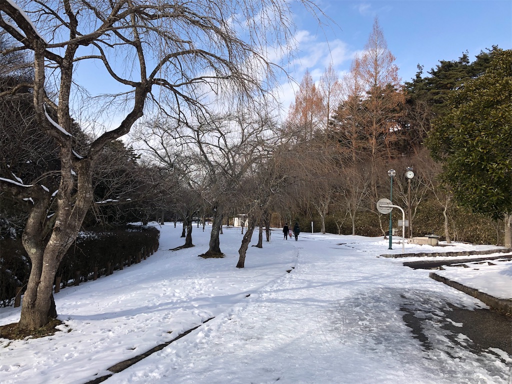 f:id:kenchan-run:20230203232518j:image f:id:kenchan-run:20230203232518j:image