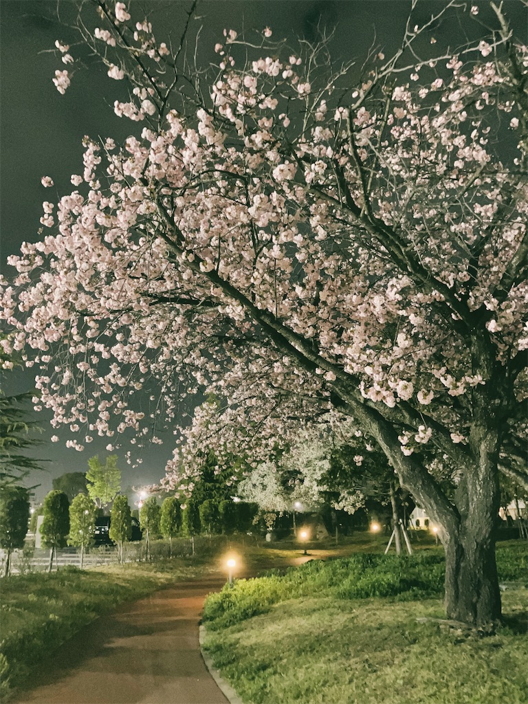 f:id:kenchan-run:20240420105654j:image f:id:kenchan-run:20240420105654j:image