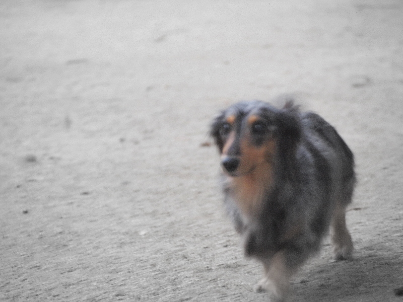 f:id:kenchan090429:20111024162620j:image