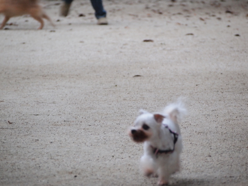 f:id:kenchan090429:20111024162621j:image