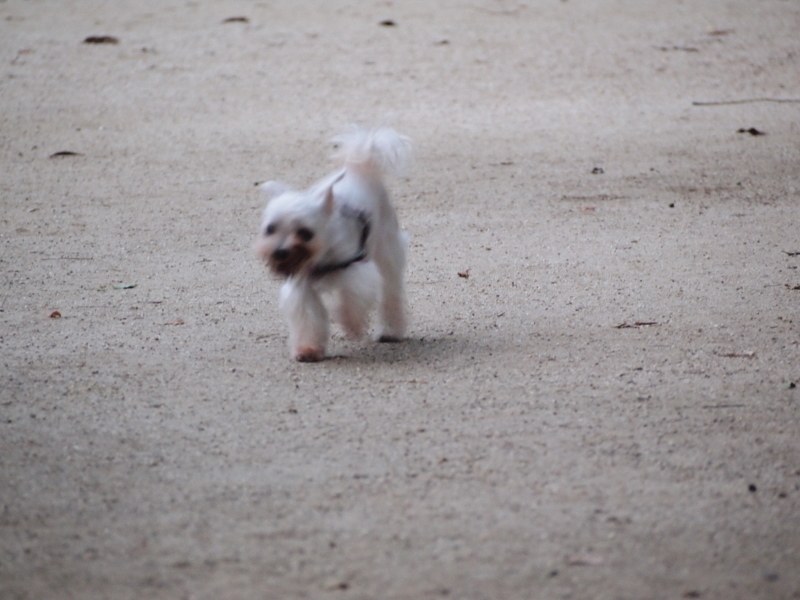 f:id:kenchan090429:20111024162622j:image